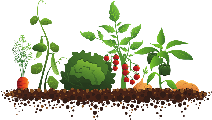 2025 Healthy Living/Garden Club | Event in Elk Grove Village | AllEvents