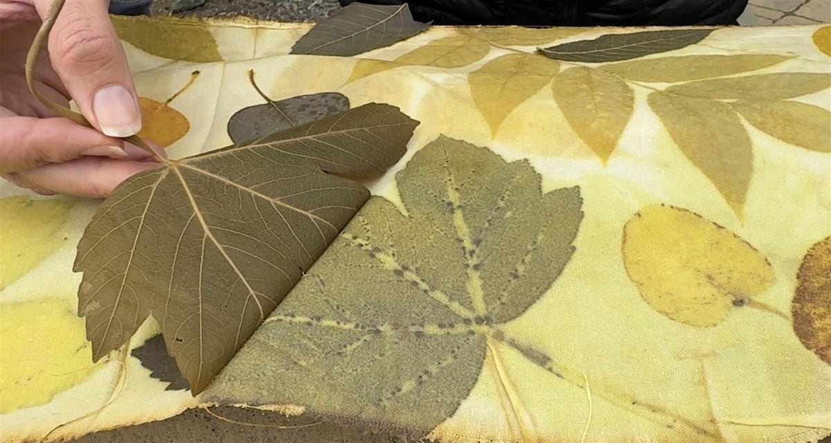 Fall Foliage to Fashion: Leaf Printing Workshop, 9 November | Event in Healdsburg | AllEvents
