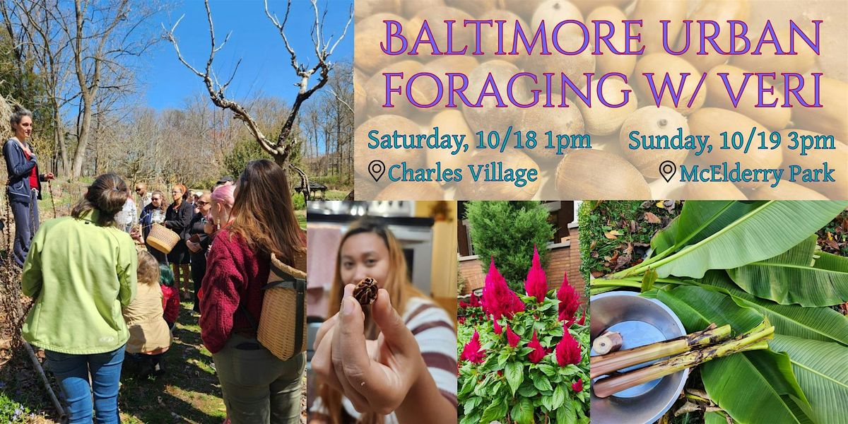 Baltimore Urban Foraging Walk in Charles Village area, 18 October | Event in Baltimore | AllEvents