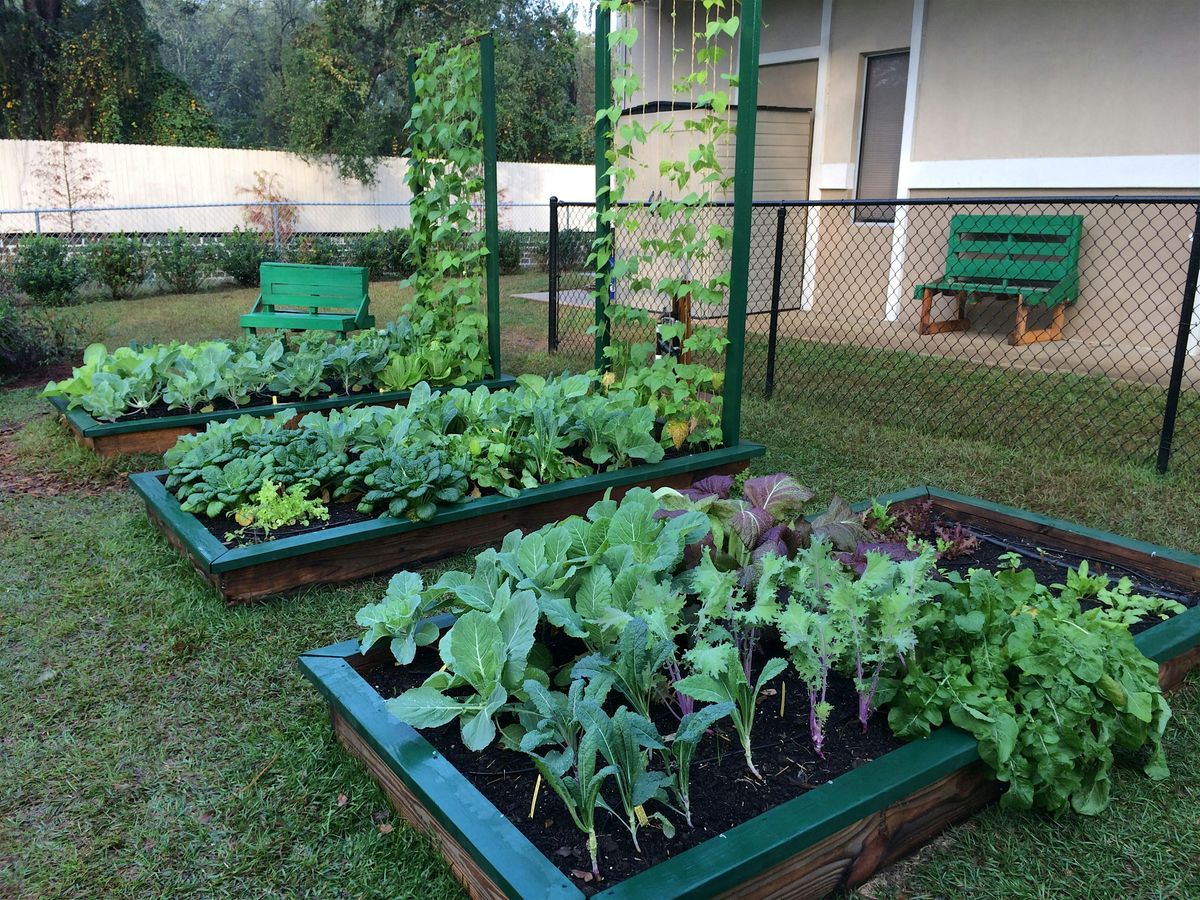 7-14-2025  Tips for the Lazy Gardener, 14 July | Event in New Port Richey | AllEvents