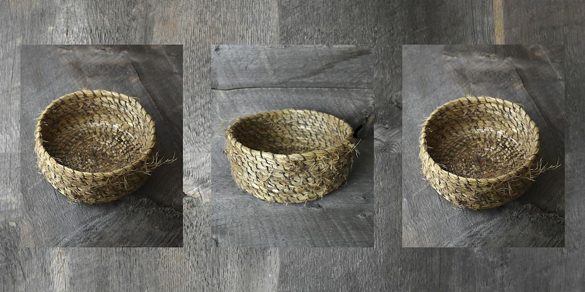 Wild Basketry – Invasive Plant Cordage and Coiled Basketry, with Julia Han | Event in Point Reyes Station