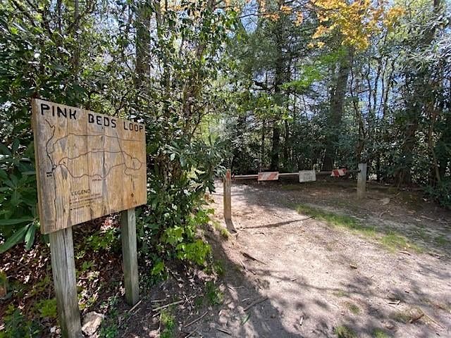 Rediscover the Unforgettable in Brevard: Pink Beds Hike, 10 September | AllEvents