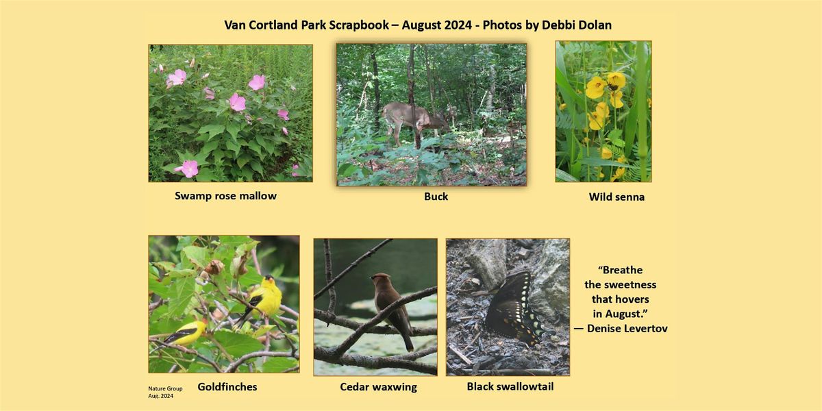 Van Cortlandt Nature Group Walk, 3 August | Event in The Bronx | AllEvents
