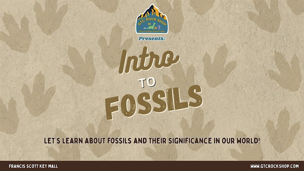 Introduction to Fossils, 11 October | Event in Frederick | AllEvents