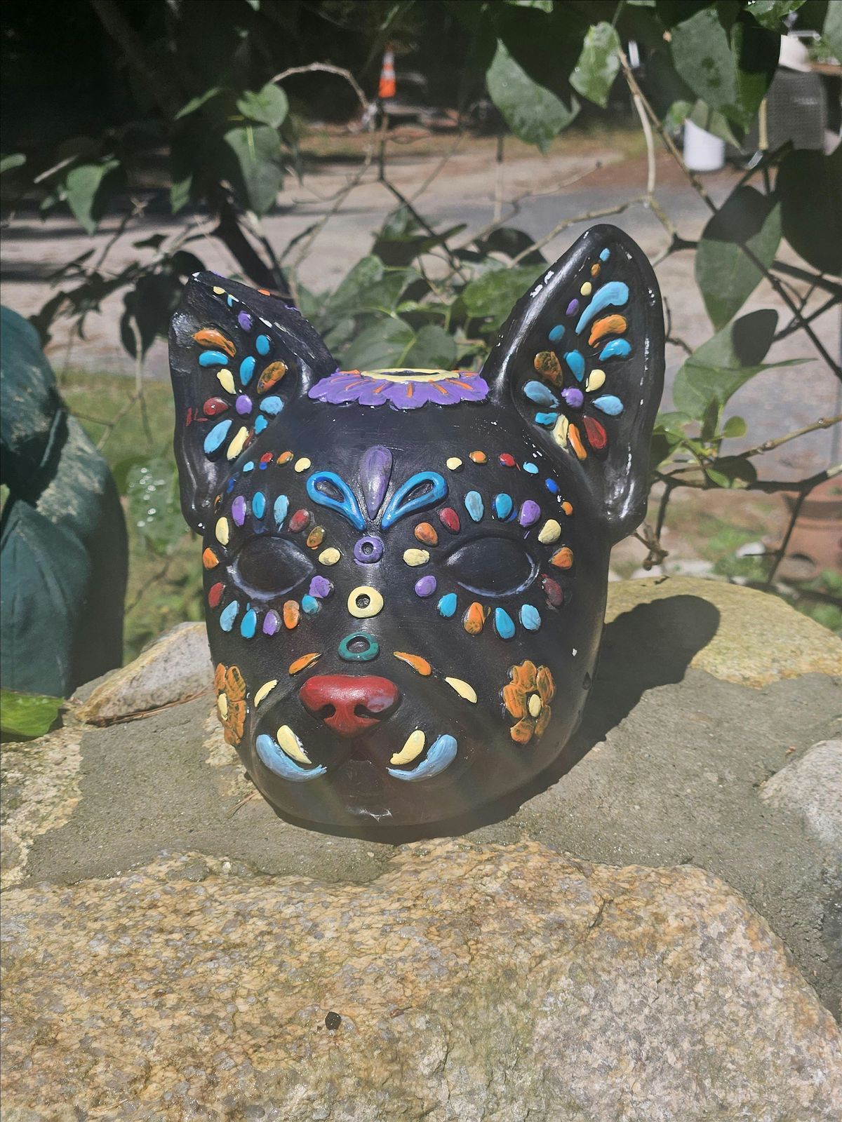 Sugar Skull Dog, 26 June | Event in Kingston | AllEvents