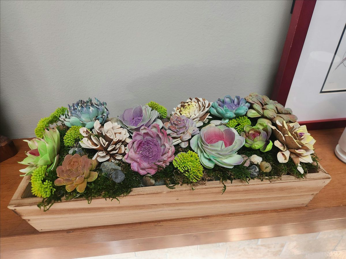 Summer Succulents Garden with wood Succulents, 7 August | Event in Hilton | AllEvents