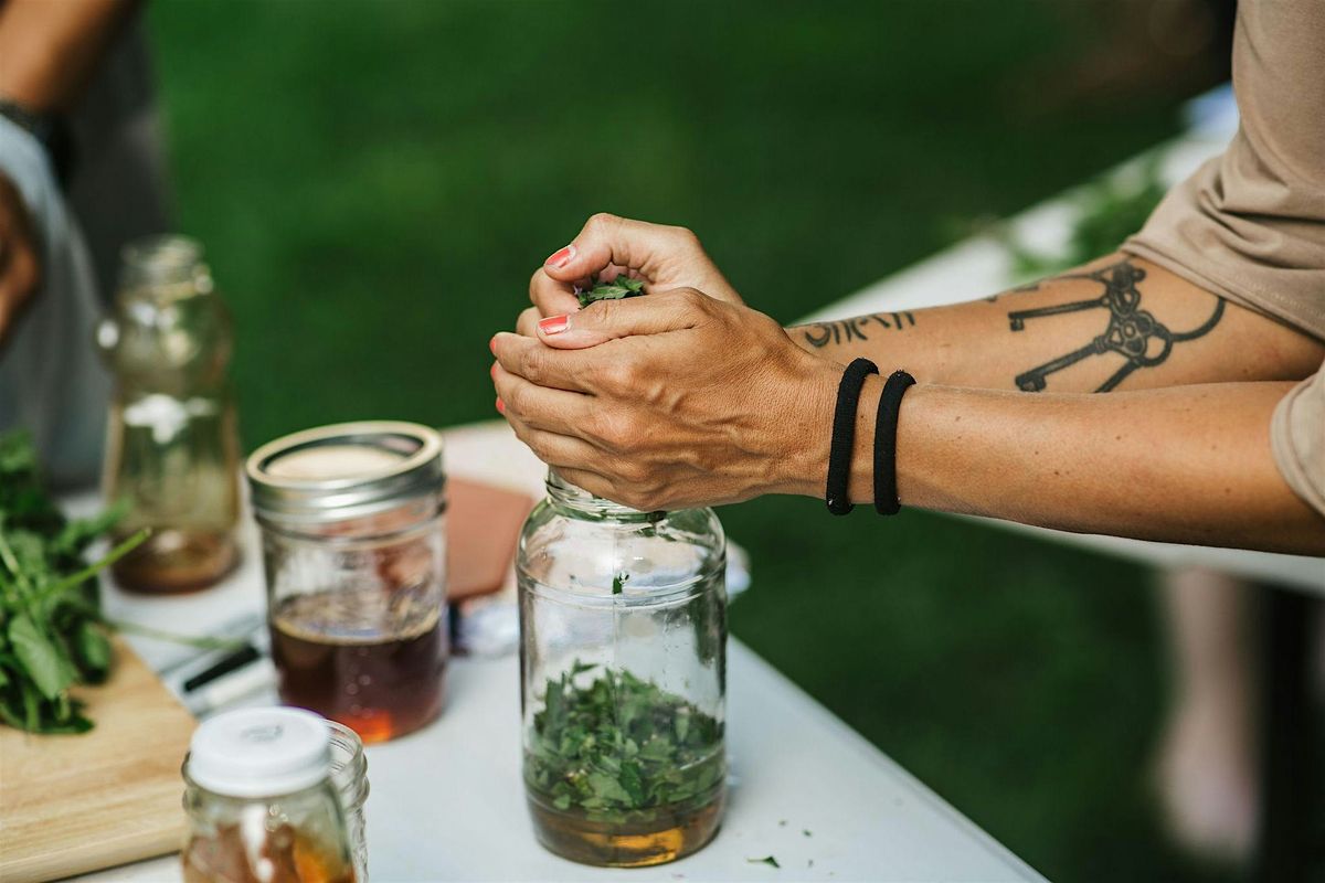 The Restorative Power of Comfrey: A Hands-On Salve-Making Workshop, 21 January | Event in Baltimore | AllEvents