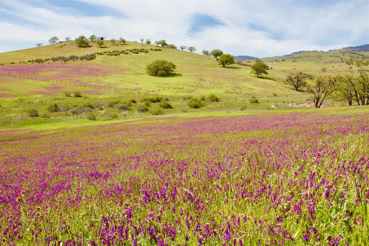 Explore the Bluff!, 7 May | Event in Ashland | AllEvents