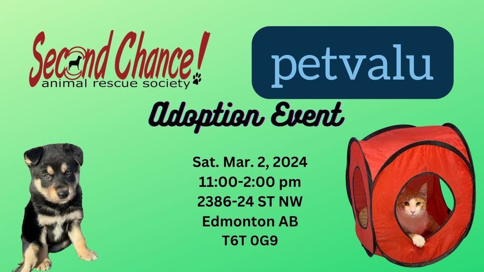 Adoption Event, Pet Valu (Edmonton,AB 24th St), March 2 2024