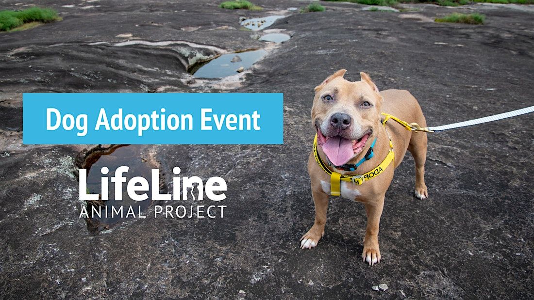 Pet Supplies Plus (Buford) Dog Adoption Event, 14 December | Event in Buford | AllEvents