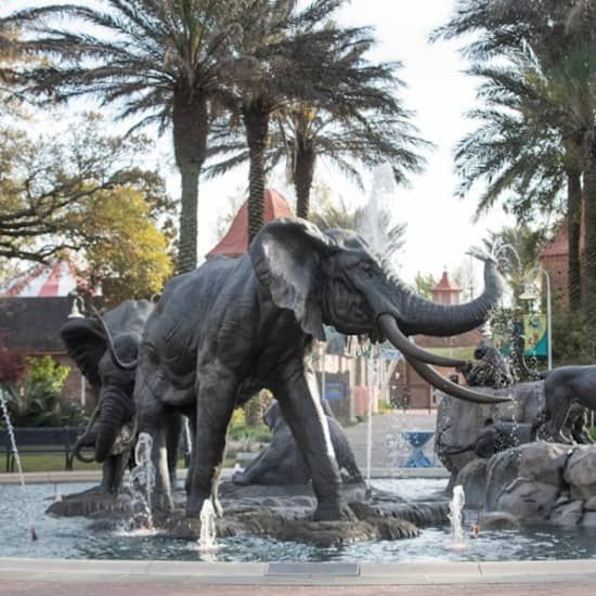 Audubon Zoo: Entry Ticket | Event in Westwego | AllEvents