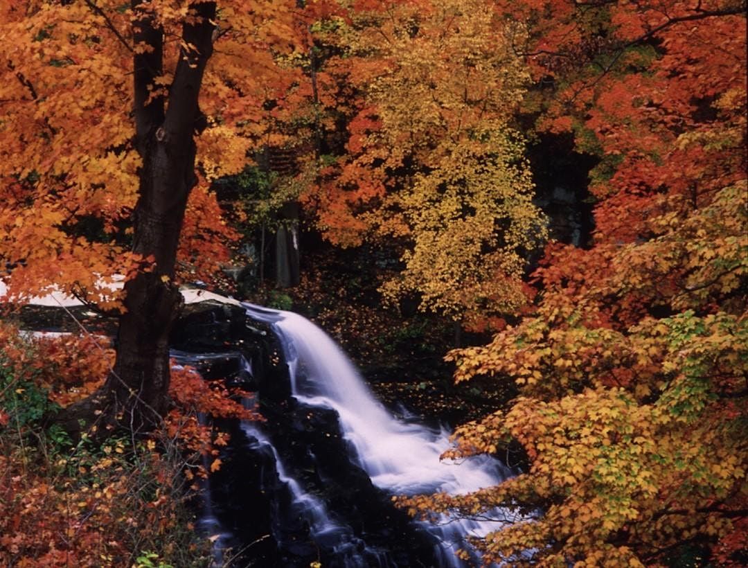 First Thursday Tour: Final Look: Ordinary Miracles, 8 January | Event in Akron | AllEvents