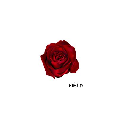 The Field