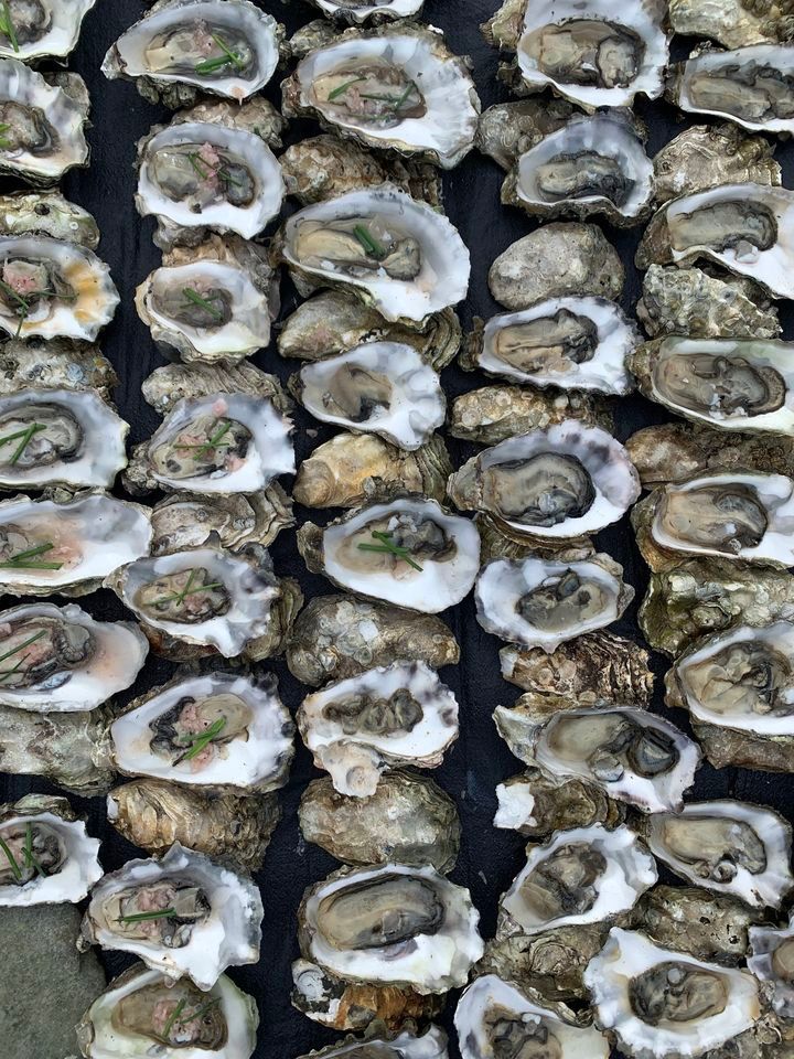 Shellfish Forage and a Feast, Hood Canal, WA, Hoodsport, 15 March 2024 ...