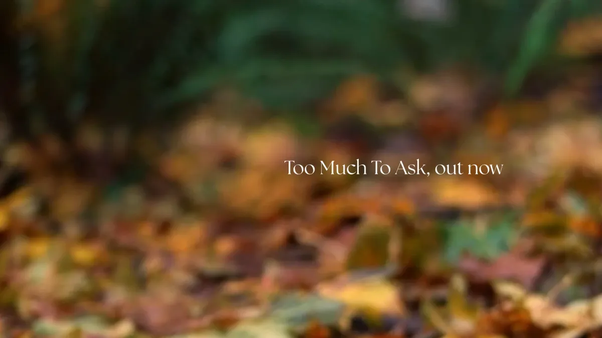 gavn!, Christian Hayes, Adam Yokum in Dallas, 22 January | Event in Dallas | AllEvents