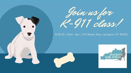 K 911 At 275 Meijer Way Lexington Ky 40503 3370 United States