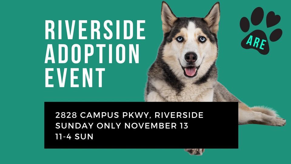 Adoption Event Riverside PetSmart Riverside CA 13 November adoption-event-riverside-petsmart-riverside-ca-13-november