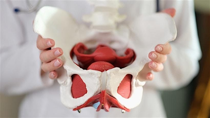 Physical and Occupational Therapy Collaboration Event, 28 January | Event in Asheville | AllEvents