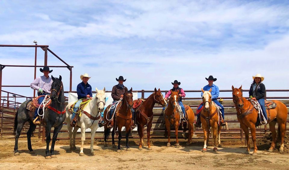 Billings Livestock Horse Sale 2023, Help for Homeless PetsBillings, MT
