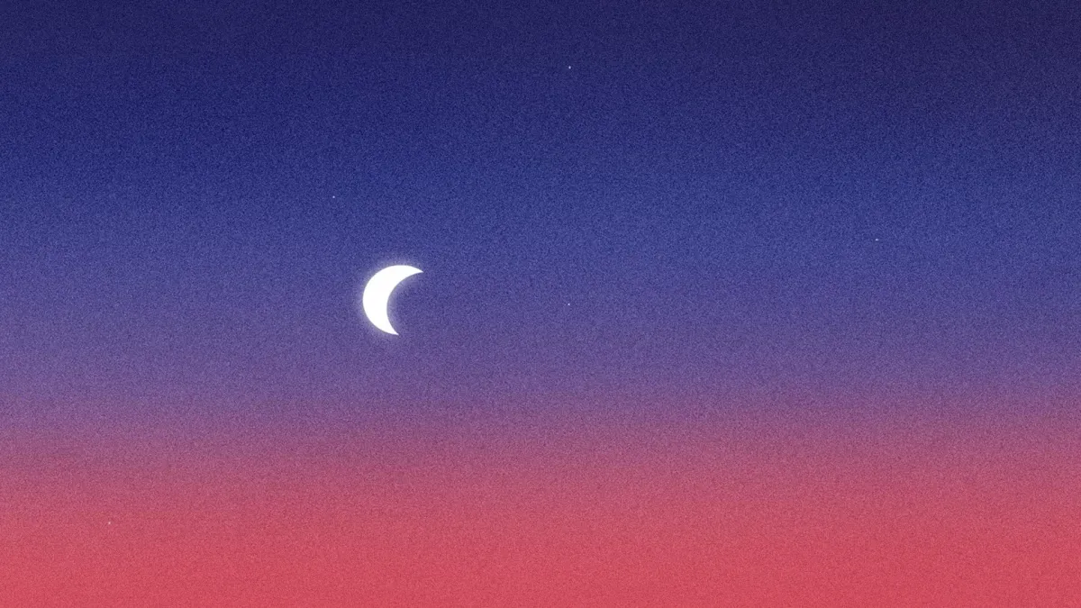 Requin Chagrin in Bruxelles, 21 February | Event in Brussels | AllEvents