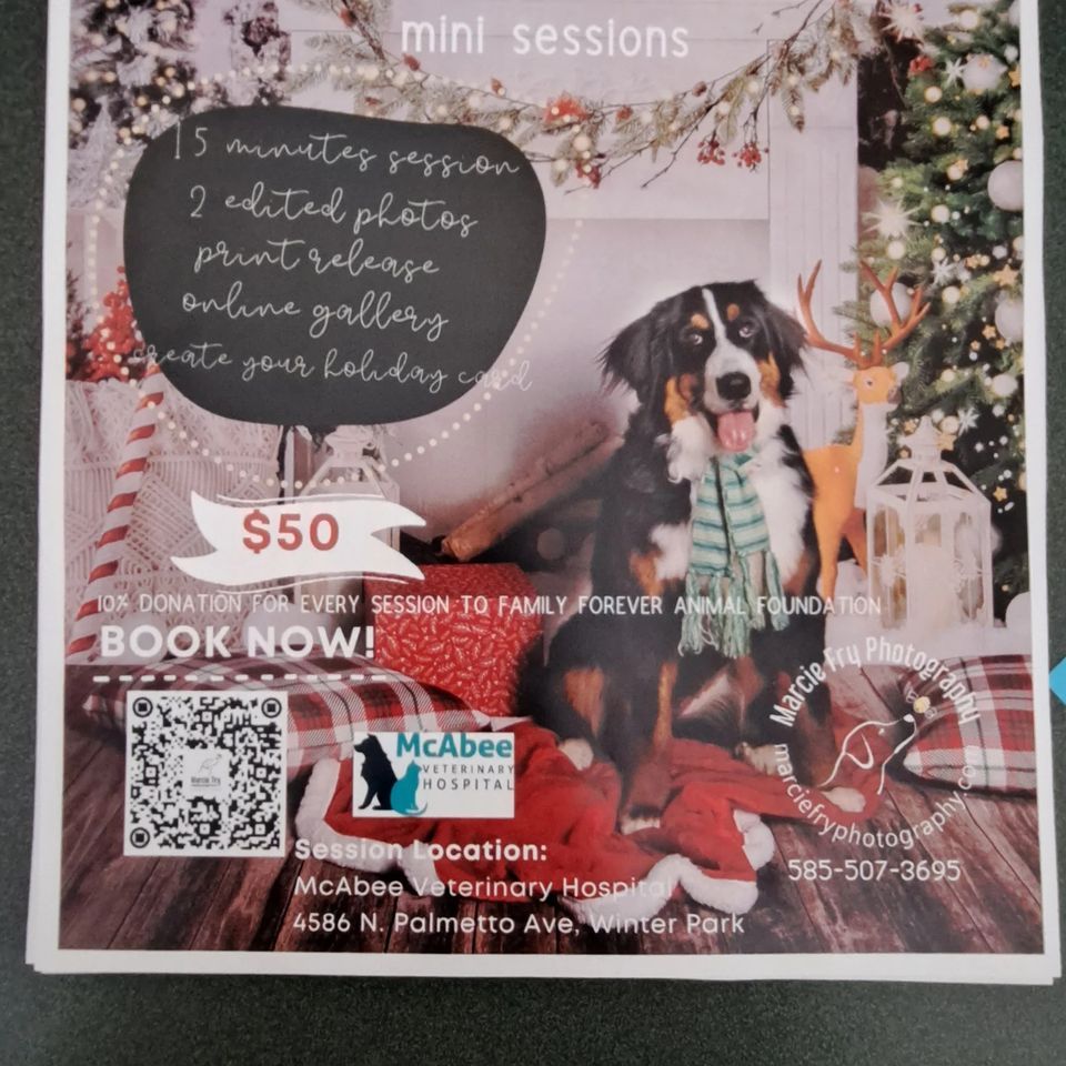Pet Holiday Photos McAbee Veterinary Hospital Winter Park 17 pet-holiday-photos-mcabee-veterinary-hospital-winter-park-17