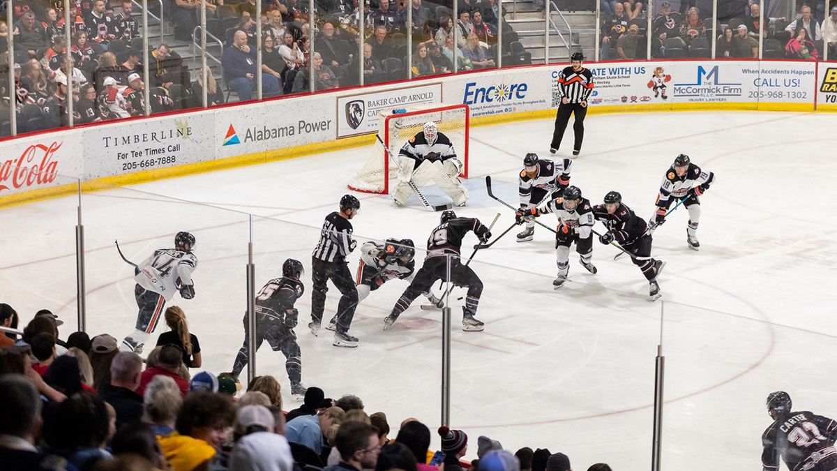 Pensacola Ice Flyers at Birmingham Bulls at Pelham Civic Complex, 30 October | Event in Pelham | AllEvents