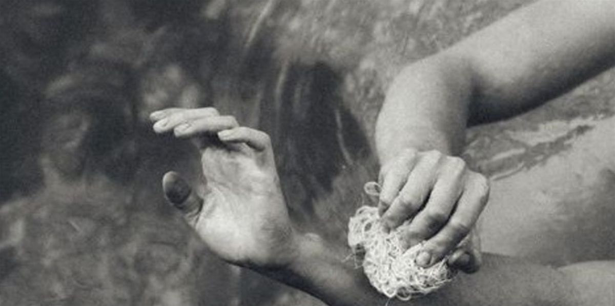 Introduction to Ayurveda, 8 February | Event in Varsity Lakes | AllEvents