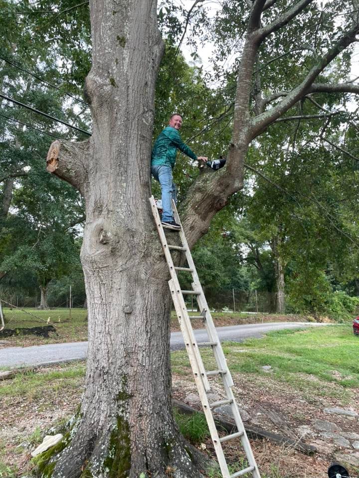 Jason’s 50th Birthday, Golden Corral Buffet & Grill (605 Bullsboro