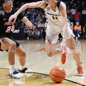 Pacific Tigers at Oregon State Beavers Womens Basketball