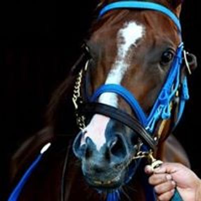 Surat Diggers Race Club
