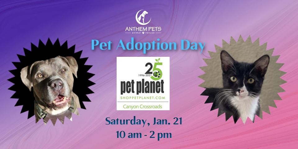 Pet Planet Adoption Day, Pet Planet Canyon Crossroads, Sun City, January 21 2023 Pet Planet Adoption Day, Pet Planet Canyon Crossroads, Sun City, January 21 2023