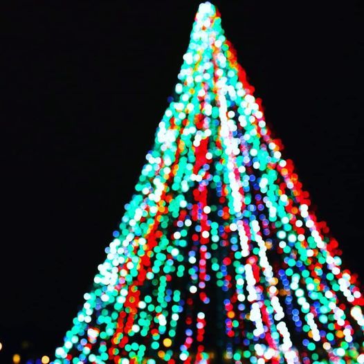 Light Up The Park Drive Through At Eisenhower State Park Eisenhower State Park Texas Parks And Wildlife Denison December 18 To December 19 Allevents In Denison Christmas Lights 2021