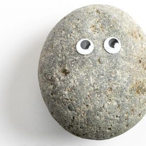 Pet Rock