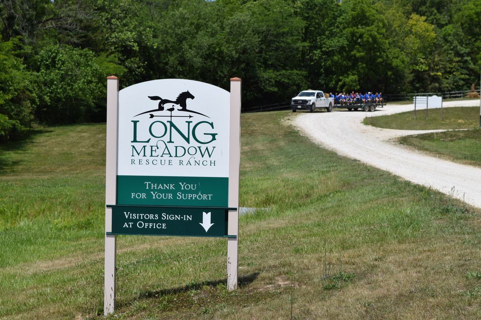 Wagon Days at Longmeadow Rescue Ranch, Longmeadow Rescue Ranch, St ...