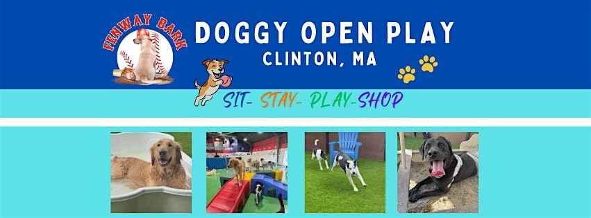Doggy Open Play, 15 August | Event in Clinton | AllEvents