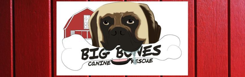 big bones canine