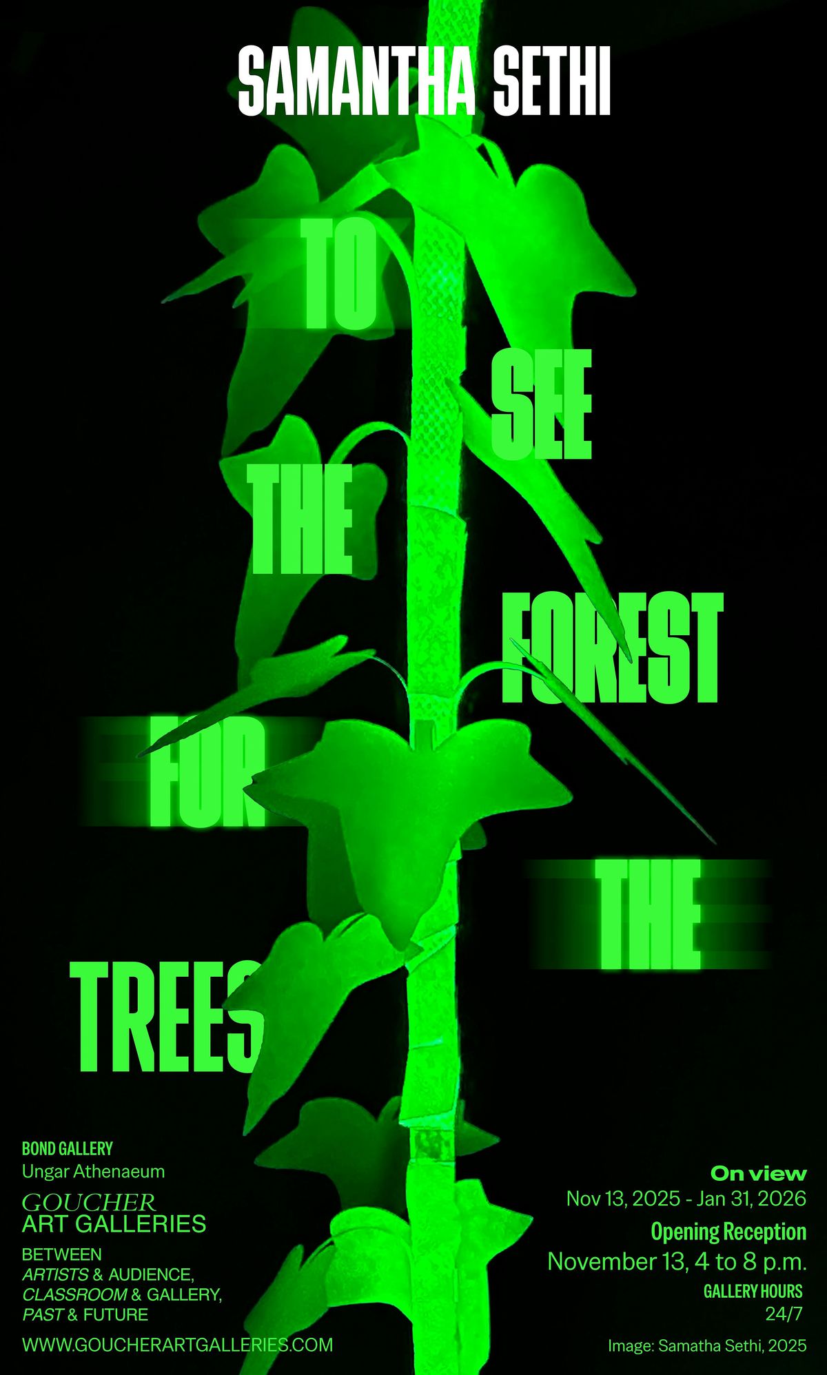 Samantha Sethi - Artist Talk | Event in Towson | AllEvents