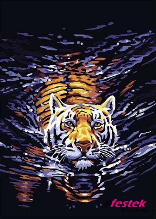Társkereső tigris