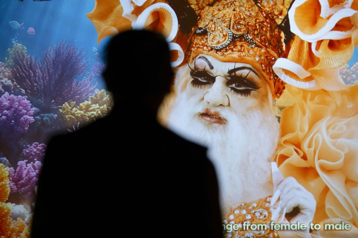 Yuki Kihara: Darwin in Paradise Camp Curator Tour, 8 January | Event in Manchester | AllEvents