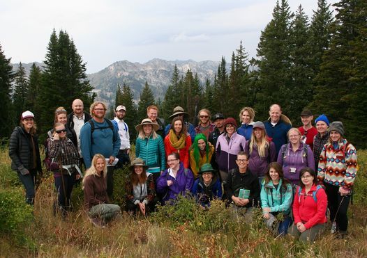 Edible Medicinal Plants Of The Wasatch Range Herb Walk Salt Lake City Utah July 23 2022 Allevents In Events Slc July 2022