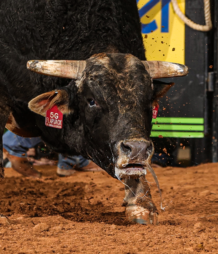 The Bull Thing PBR, Lincoln County Fairgrounds MT, Eureka, 26 August
