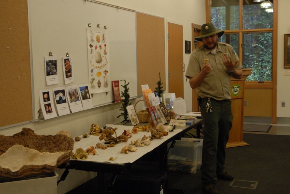 Mysterious Mushrooms of the Tillamook State Forest, Tillamook Forest