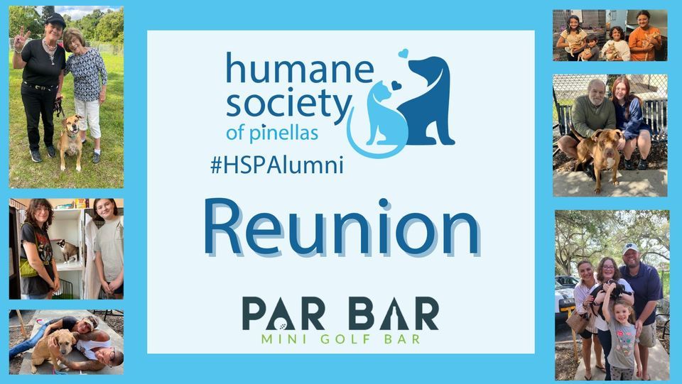 HSP Alumni Meetup, Par Bar, Kenneth City, 3 December 2023 | AllEvents