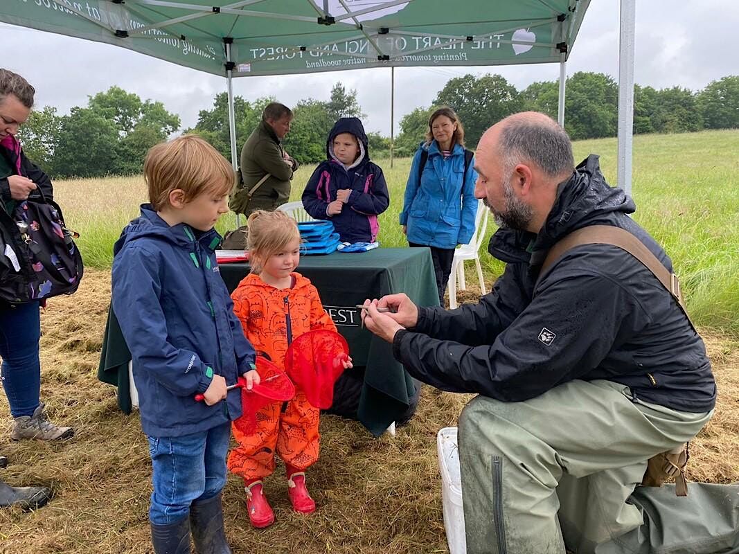 Mini Foresters | Event in Spernal | AllEvents