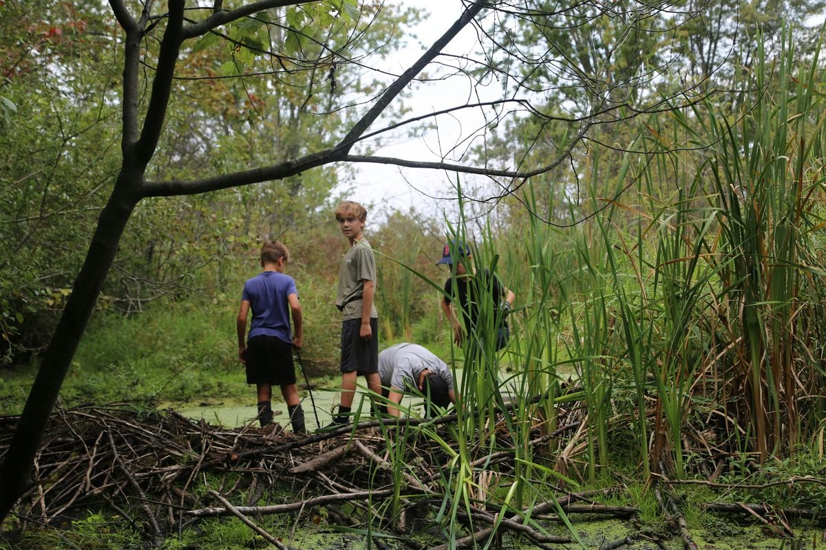 PA Day Nature Camp - Nature's Engineers