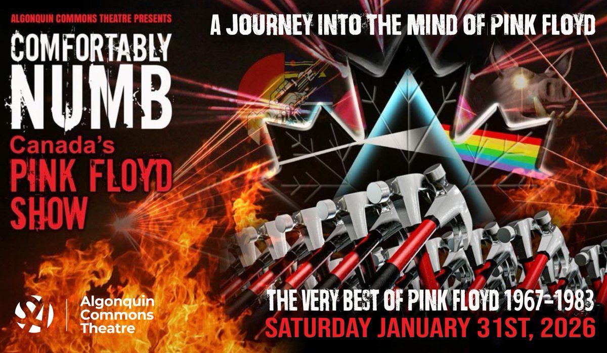 Comfortably Numb - Canada's Pink Floyd Show, 30 January | Event in Nepean | AllEvents