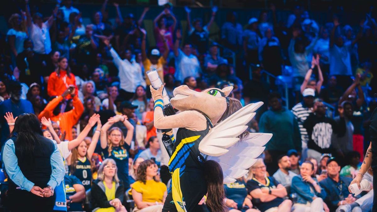 Dallas Wings at Las Vegas Aces, 17 August | Event in Las Vegas | AllEvents