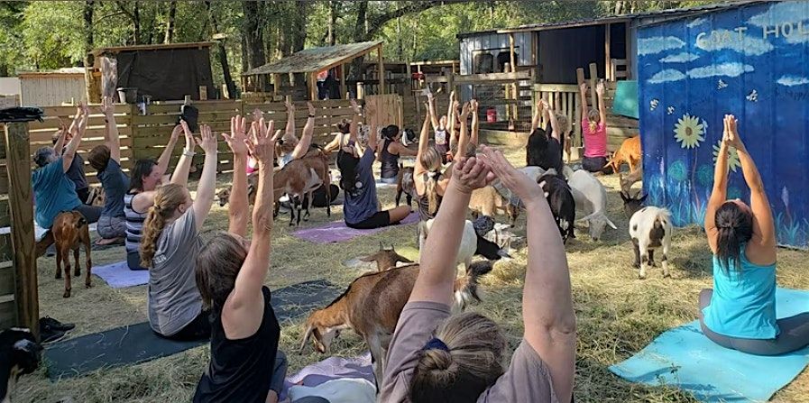 Goat Yoga and Hang with the Herd in Tallahassee, 20 December | Event in Tallahassee | AllEvents