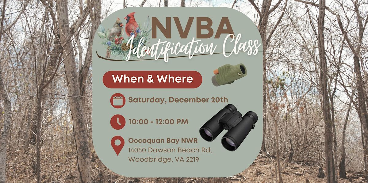 Bird Identification Workshop at Occoquan Bay National Wildlife Refuge, 20 December | Event in Woodbridge | AllEvents