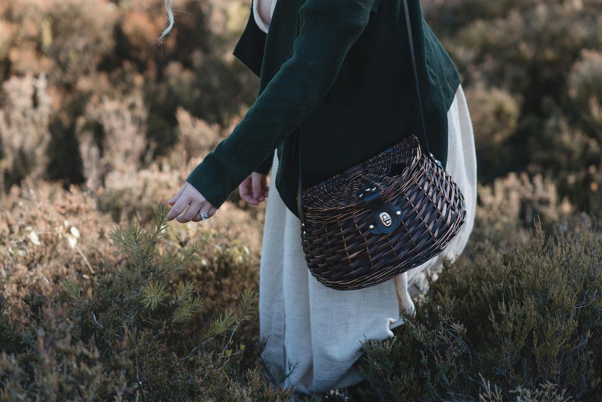 22nd March Foraging Walk, 22 March | Event in Liphook | AllEvents